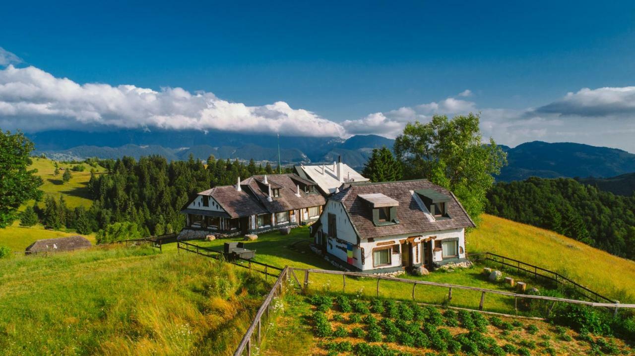Amfiteatrul Transilvania Villa Alsómoécs Kültér fotó